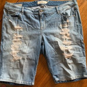 Torrid Boyfriend Shorts 20